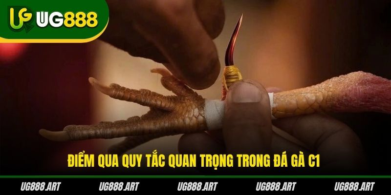 Điểm qua quy tắc quan trọng trong đá gà C1