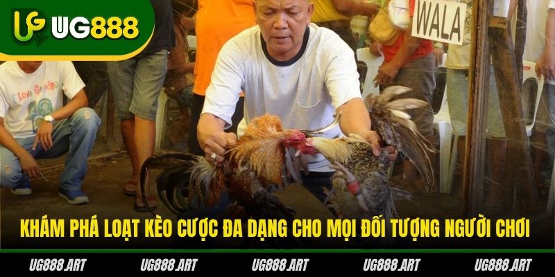 Khám phá loạt kèo cược đa dạng cho mọi đối tượng người chơi