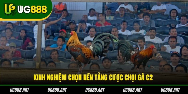 Kinh nghiệm chọn nền tảng cược chọi gà C2