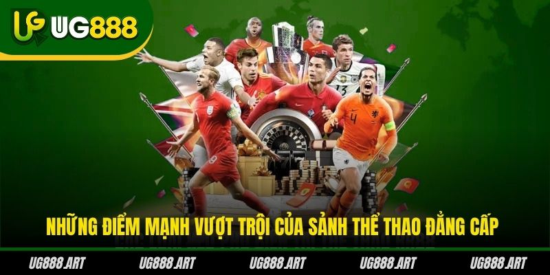 Những điểm mạnh vượt trội của sảnh thể thao đẳng cấp