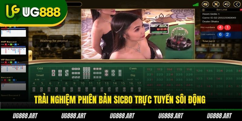 Trải nghiệm phiên bản Sicbo trực tuyến sôi động