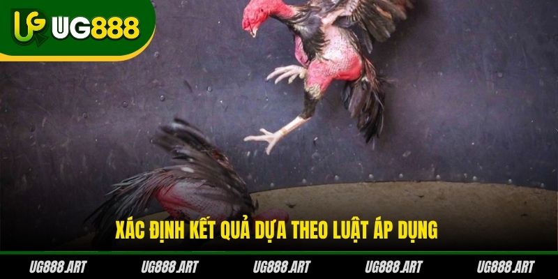 Xác định kết quả dựa theo luật áp dụng